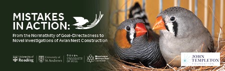 Mistakes in Action project image