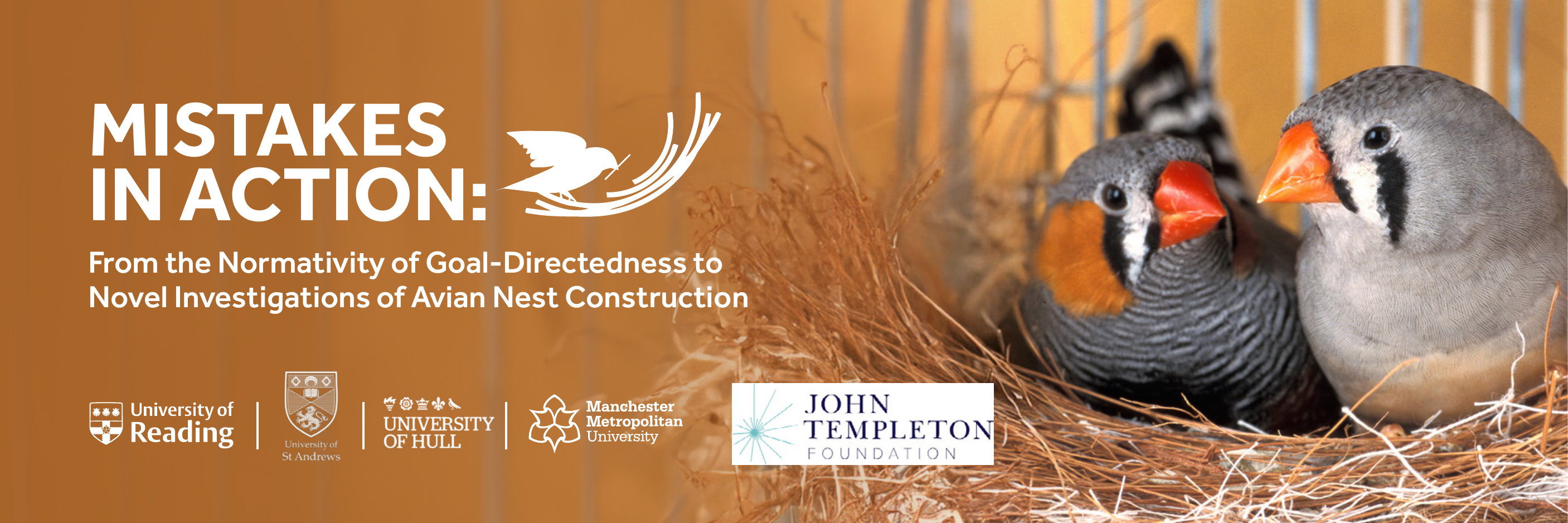 Mistakes in Action project banner